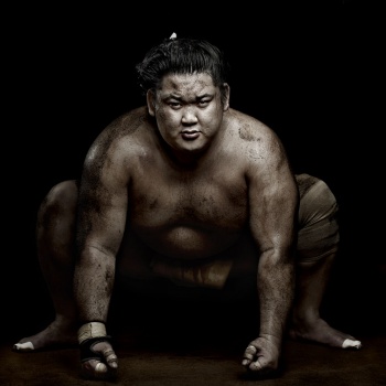 World Press Photo 2013. Sumo